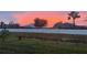 Backyard view during a beautiful sunset with a privacy fence, green grass and shrubbery at 2115 Pan American Blvd, North Port, FL 34287