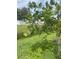 Image of backyard greenery at 2115 Pan American Blvd, North Port, FL 34287