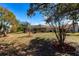 Expansive backyard showcasing mature trees and landscaping, with a screened-in pool visible in the background at 255 San Cristobal Ave, Punta Gorda, FL 33983