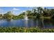 Beautiful pond with fountain feature surrounded by lush greenery and trees at 560 Misty Pine Dr, Venice, FL 34292
