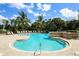 Beautiful turquoise pool with lounge chairs, palm trees, and stone fountain feature at 560 Misty Pine Dr, Venice, FL 34292