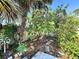 Landscaped backyard featuring tropical plants, trees, and a stepping stone path, creating a private and tranquil outdoor space at 704 Serata St, Venice, FL 34285