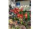 The exterior of the home has bright red flowers and a lawn at 781 Missouri Rd, Venice, FL 34293