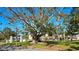 Park featuring a large banyan tree with lush green surroundings, benches, and the surrounding neighborhood at 902 Gibbs Rd # 181, Venice, FL 34285