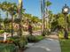 Picturesque street scene with a sidewalk, decorative plantings, and palm trees at 1118 Southlake Ct, Venice, FL 34285