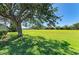 Backyard showcasing spacious lawn area at 161 Valencia Lakes Dr, Venice, FL 34292