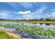 Scenic view of the pond, surrounded by lush landscaping, providing a tranquil backdrop for the neighborhood at 1697 San Silvestro Dr, Venice, FL 34285