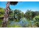 Lush vegetation and a calm pond reflecting the sky create a peaceful outdoor setting at 651 Percheron Cir, Nokomis, FL 34275