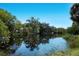 Calm pond reflecting the lush greenery, creating a serene and picturesque natural backdrop at 651 Percheron Cir, Nokomis, FL 34275