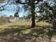 Spacious backyard with mature trees and a shed at 8155 Mossborger Ave, North Port, FL 34287