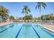 Sparkling community swimming pool with clear blue water and picturesque palm tree scenery at 945 Chickadee Dr, Venice, FL 34285