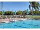 Inviting community swimming pool with lounge chairs, umbrellas, and mature landscaping at 945 Chickadee Dr, Venice, FL 34285