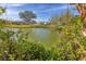 Beautiful waterfront home featuring a lush pond framed with violet flowering plants at 1220 Lakeside Dr, Venice, FL 34293