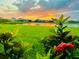 Green lawn meets tranquil lake, homes and scenic sunset behind greenery in foreground at 12637 Promenade Estates Blvd, Sarasota, FL 34238