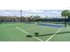 Well-maintained pickleball courts ready for a game and surrounded by palm trees and blue skies at 13325 Caravaggio Ct, Venice, FL 34293