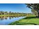 Beautiful backyard featuring lush lawn, mature trees, and a serene pond reflecting surrounding foliage at 19651 Quisto St, Venice, FL 34293