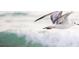 Scenic view of a white seagull flying over a turquoise-blue ocean at 471 Bayshore Rd, Nokomis, FL 34275