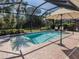 Sparkling pool with an umbrella and patio furniture, surrounded by lush greenery at 500 Padova Way, North Venice, FL 34275