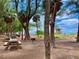 Tranquil park setting with picnic tables, barbecue grills, tall trees, and a lifeguard hut in the distance at 8603 46Th Avenue W Cir, Bradenton, FL 34210