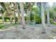 Picturesque backyard area with a concrete picnic table surrounded by mature palm trees providing ample shade at 9061 Kellogg Ln, Venice, FL 34293