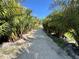Long, private driveway lined with lush palm trees and manicured greenery at 9061 Kellogg Ln, Venice, FL 34293