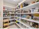 Spacious walk-in pantry with floor-to-ceiling white shelving at 228 Caserta Ct, North Venice, FL 34275