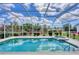 Beautiful screened pool and spa with lush landscaping at 339 Marsh Creek Rd, Venice, FL 34292