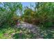 Scenic nature path surrounded by lush greenery and trees for walking at 647 Linden Dr, Englewood, FL 34223