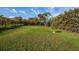 Expansive green backyard with tropical landscaping, providing a serene and private outdoor space at 8170 Casa De Meadows Dr, Englewood, FL 34224