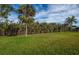 Spacious backyard featuring lush green grass and mature tropical hedges, creating a private oasis at 8170 Casa De Meadows Dr, Englewood, FL 34224