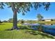 Scenic waterfront view of a calm pond surrounded by lush greenery and well-maintained lawns at 1125 Deardon Dr, Venice, FL 34292