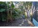 Lush backyard featuring tropical plants, creating a serene and private outdoor space at 177 Ingram Blvd, Rotonda West, FL 33947