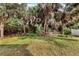 Lush backyard with many palm trees at 2038 Mincey Ter, North Port, FL 34286