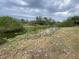 An overgrown section of the backyard with a pond at 2643 Orchard Cir, North Port, FL 34288