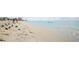 Tranquil beach scene with clear turquoise water, white sand, birds, and distant swimmers under a sunny sky at 325 Fiesole St, Venice, FL 34285