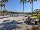 Relax on the beach with Adirondack chairs overlooking the serene lake and swaying palm trees at 4123 Cascade Falls Dr, Sarasota, FL 34243