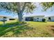 Scenic backyard with a view of the pond and a beautiful tree, perfect for outdoor enjoyment at 521 Circlewood Dr # Q11, Venice, FL 34293