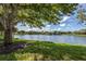 Picturesque lake view surrounded by mature trees and lush green grass, creating a serene and peaceful ambiance at 613 Sugarwood Dr, Venice, FL 34292