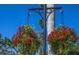 Street lamp post with hanging baskets filled with colorful flowers in Venice at 835 Chalmers Dr # 835, Venice, FL 34293