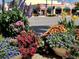 Colorful floral display on city street in front of boutique shops at 838 Bird Bay Way # 114, Venice, FL 34285