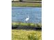 A peaceful view of a great egret standing near the water's edge at 10399 Abaco Falls Dr, Englewood, FL 34223