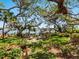 Lush backyard with mature trees, a manicured lawn, and serene views of the waterfront and private dock at 1049 N Casey Key Rd, Osprey, FL 34229
