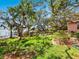Expansive backyard with lush green grass, mature trees, waterfront views, and private dock at 1049 N Casey Key Rd, Osprey, FL 34229