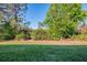 Spacious backyard with lush grass and mature trees offering a private, serene setting at 11157 Batello Dr, Venice, FL 34292