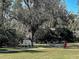 Peaceful park area with mature trees and benches at 117 Altesino Ct, Venice, FL 34292