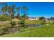 Picturesque pond with water lilies surrounded by trees and open sky, offering a peaceful view at 1207 Henning St, North Port, FL 34288
