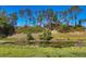 Scenic pond view with lush greenery and a clear blue sky creating a tranquil natural setting at 1207 Henning St, North Port, FL 34288