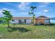 The backyard offers a lush green lawn and established landscaping, enclosed by a secure chain-link fence at 13534 Alberta Ave, Port Charlotte, FL 33981