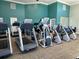 Well-equipped gym with treadmills, elliptical machines, and stationary bikes, perfect for staying active at 1683 San Silvestro Dr, Venice, FL 34285