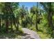 Paved nature trail surrounded by lush greenery and trees, perfect for outdoor activities at 16848 Cayo Key Dr, Port Charlotte, FL 33953